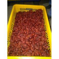 長期供應干棗、棗圈、膨化棗片、靈武長棗鮮棗、棗飲代加工